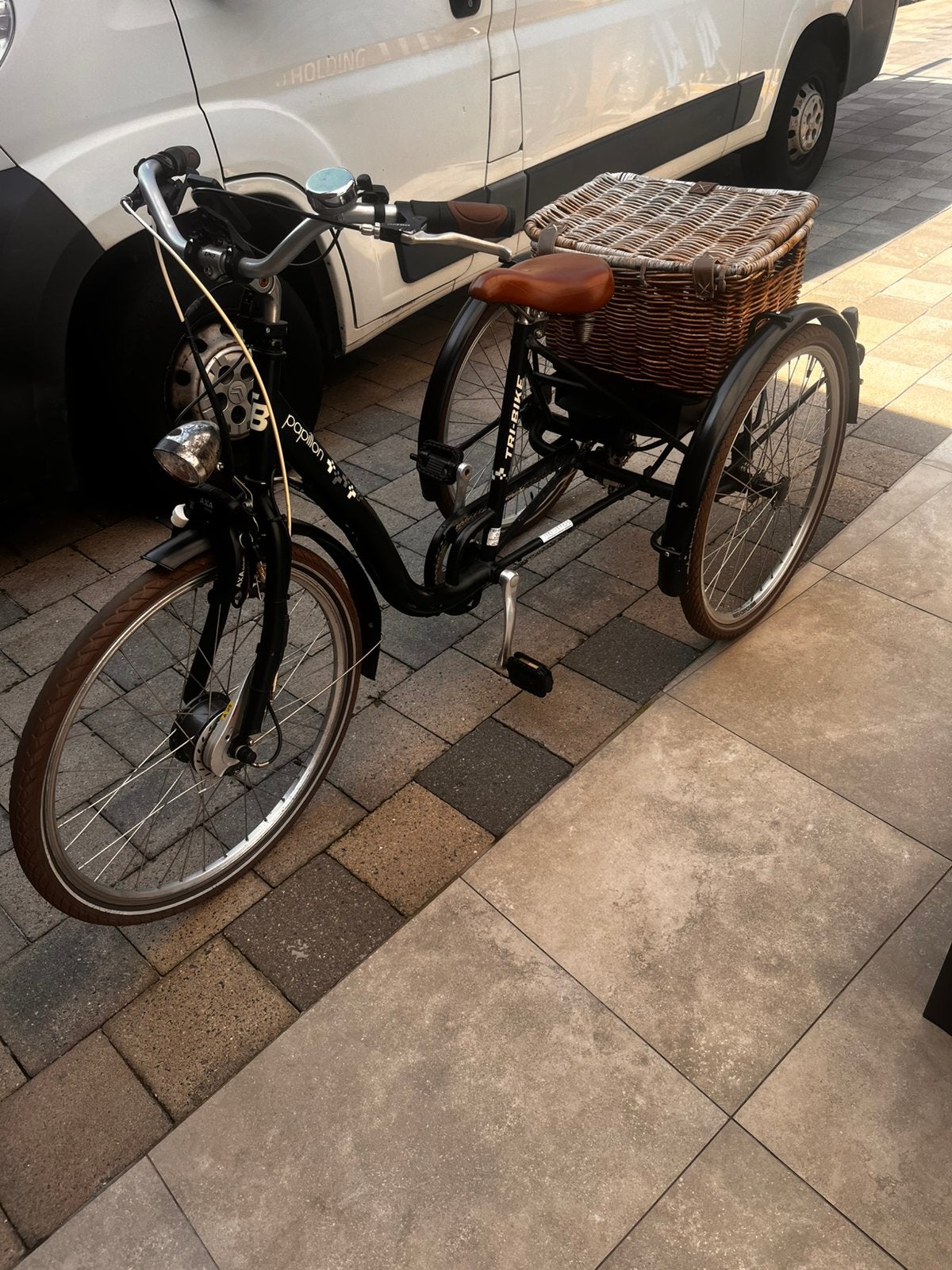 Papillon elektrische Tri-Bike, Fietsen en Brommers, Ophalen, Gebruikt, Velgrem