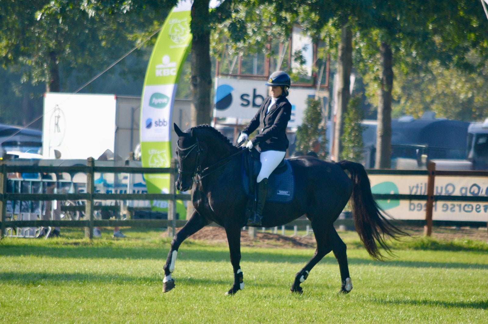 Halve stal/bijrijder gezocht, Merrie, ZZ