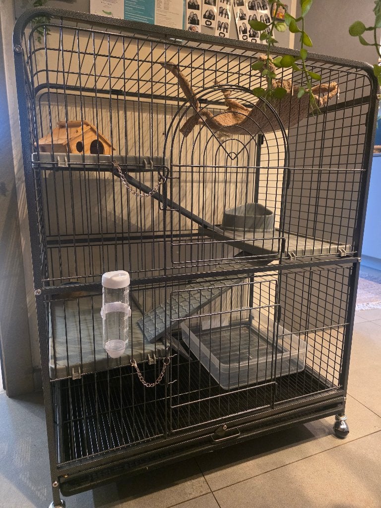 Kooi voor knaagdieren, Animaux & Accessoires, Neuf, 75 à 110 cm, Cage, Cobaye