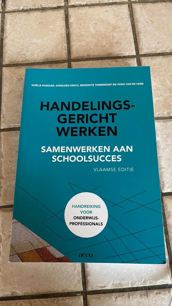 Noëlle Pameijer - Handelingsgericht werken, Boeken, Ophalen of Verzenden, Noëlle Pameijer; Hugo Van de Veire; Benedikte Timbremont; Ann...