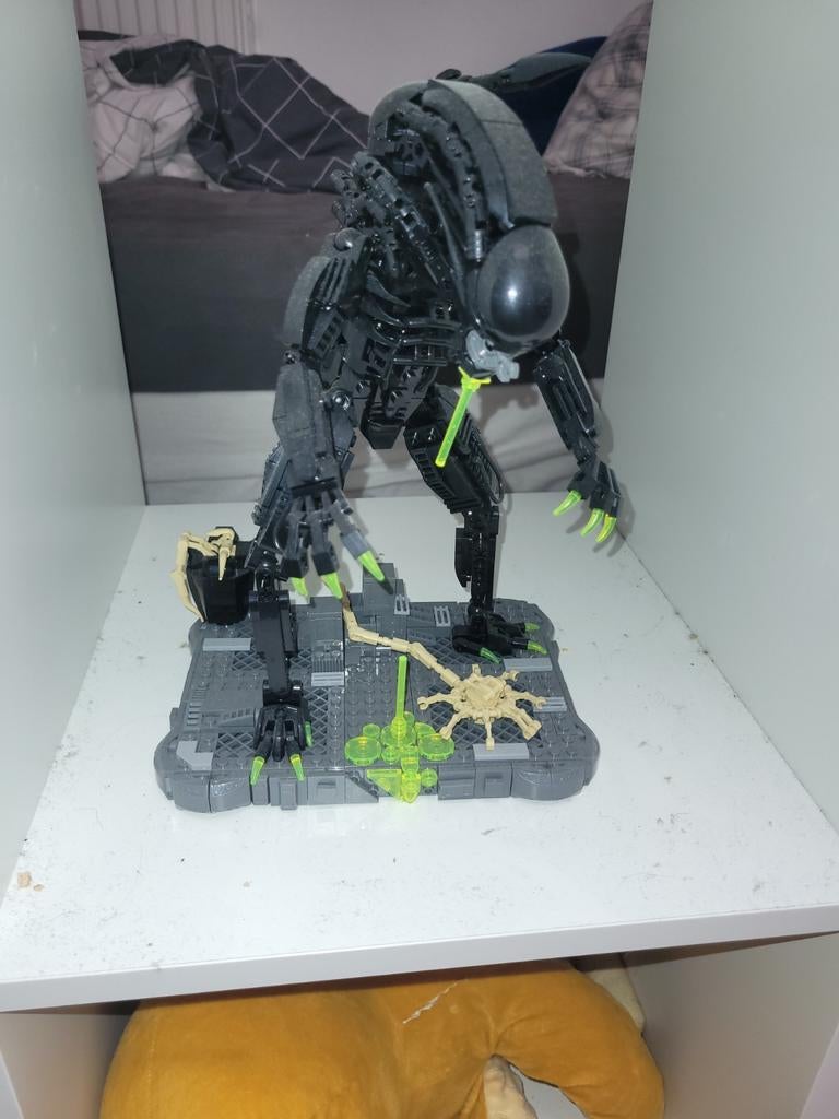 Lego Xenomorph, Enlèvement, Lego