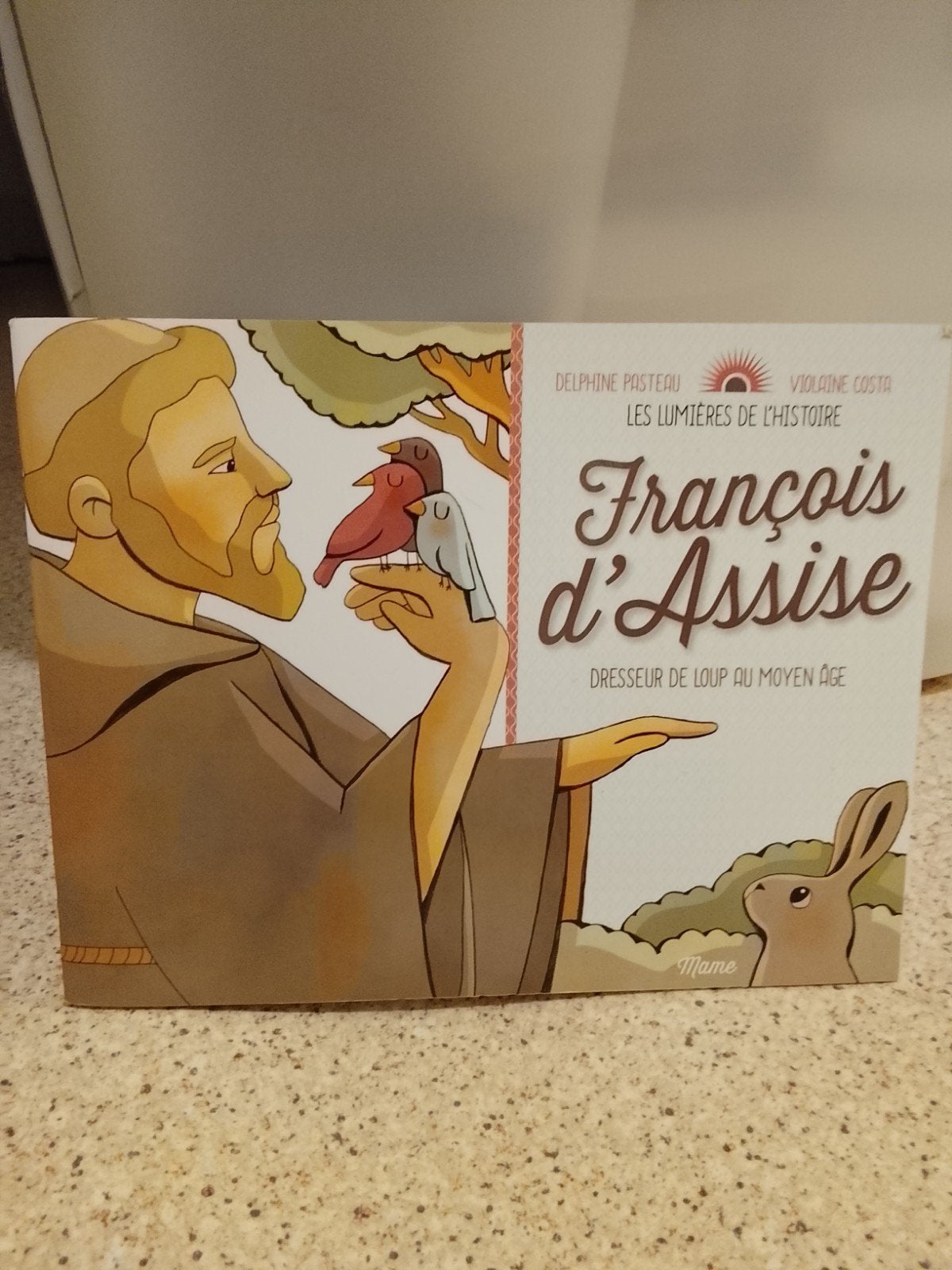 Saint - François d'Assise., Livres, Enlèvement