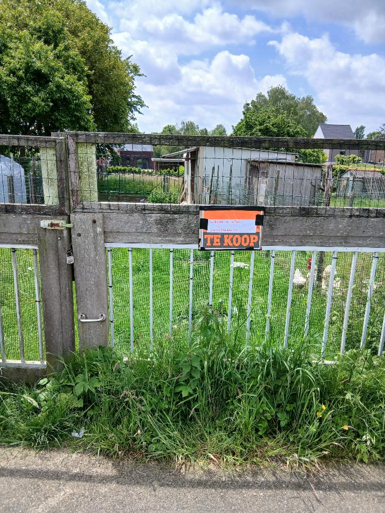 Wede met groote stal, Pâturage, 1 cheval ou poney