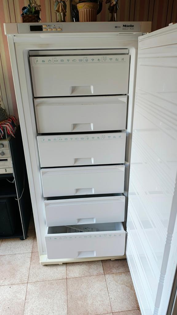 Diepvriezer Miele, Ophalen