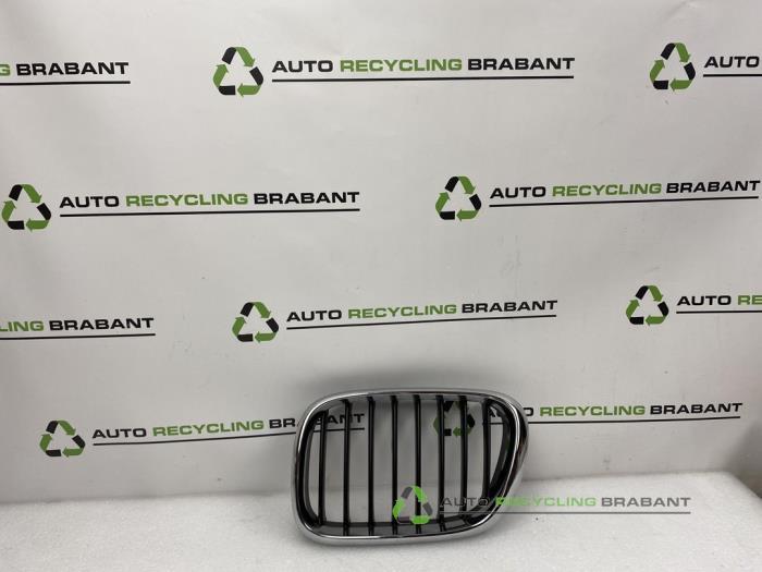 Grille van een BMW X5, Gebruikt, -, -, Ophalen of Verzenden