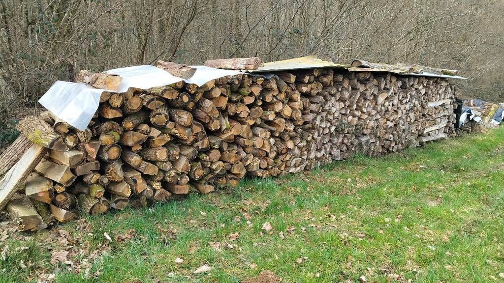 Bois de chauffage, Chêne