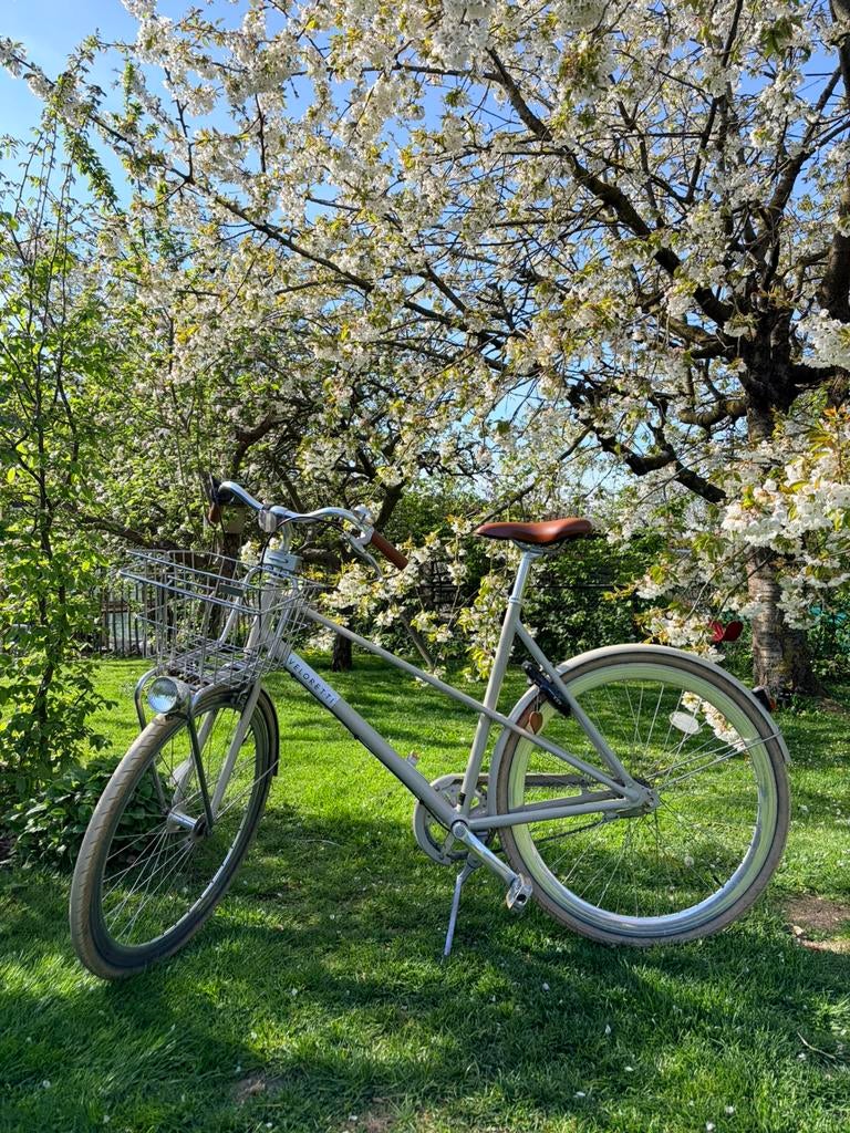 Veloretti Caferacer damesfiets, Autres marques, Vitesses, Frein à rétropédalage, Enlèvement