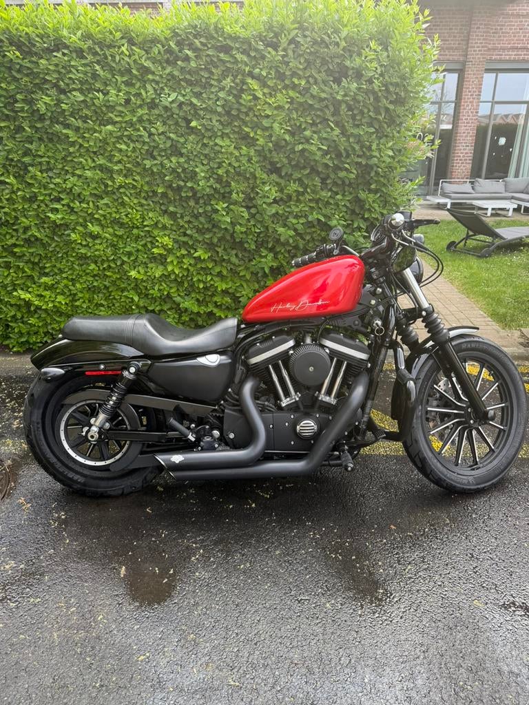 Harley Iron 883, Motos, Motos | Harley-Davidson, Particulier, Enlèvement