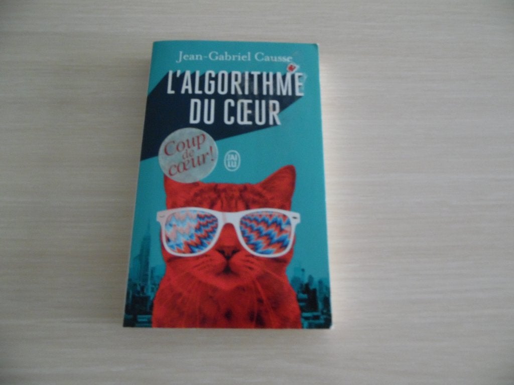 L'ALGORITHME DU COEUR      JEAN-GABRIEL CAUSSE, Europa overig, Jean-Gabriel Causse, Ophalen of Verzenden, Zo goed als nieuw