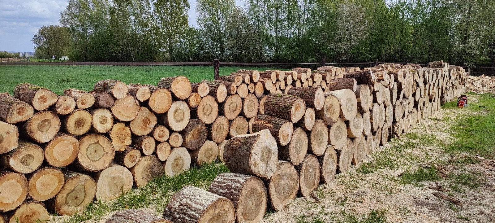 droge wilg, gezaagd op +- 35 cm, 3 tot 6 m³, Verzenden, Overige houtsoorten