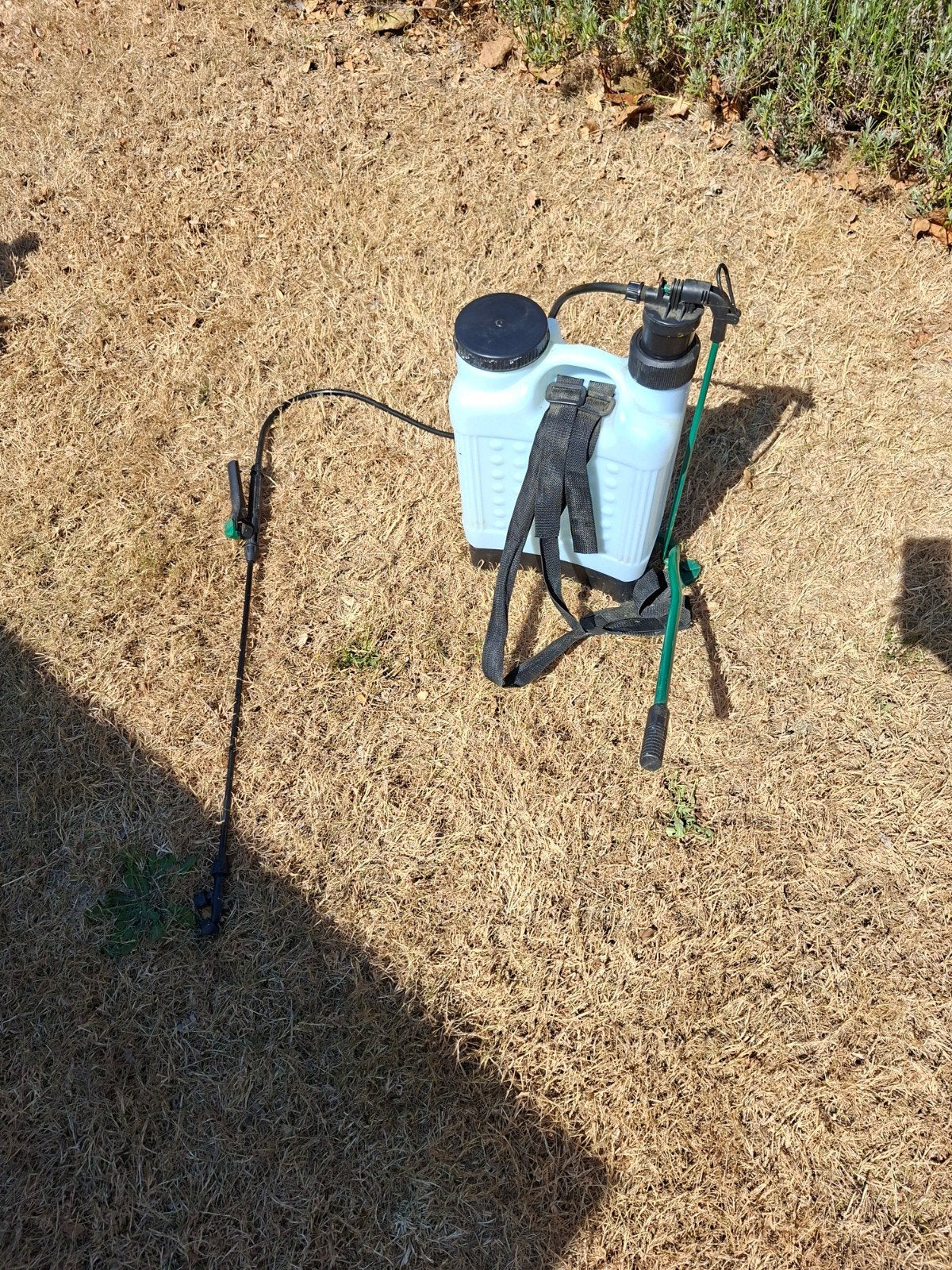 Tuinsproeier, Jardin & Terrasse, Pesticides, Enlèvement, Utilisé, Lutte antiparasitaire