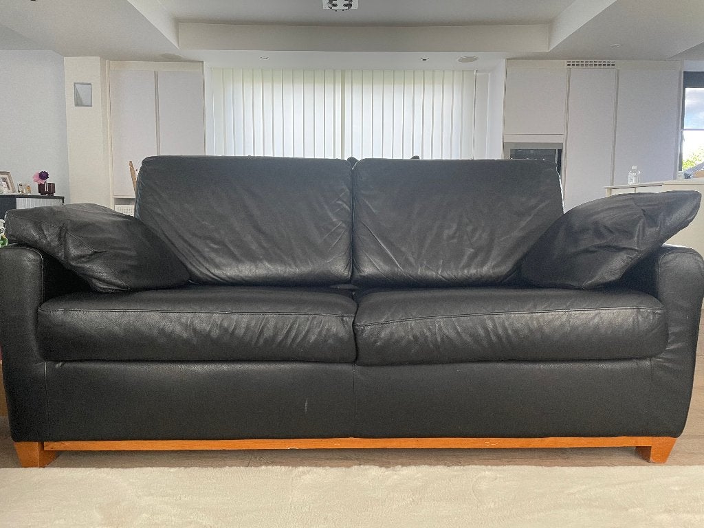 Canapé en cuir véritable avec 2 coussins assortis, Autres dimensions, Banc droit, Enlèvement, Utilisé