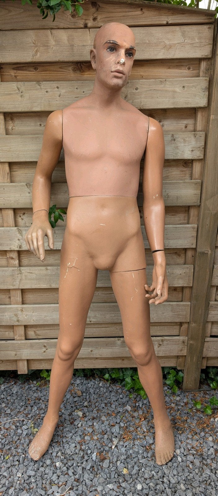 Oude etalagepop man, Ophalen