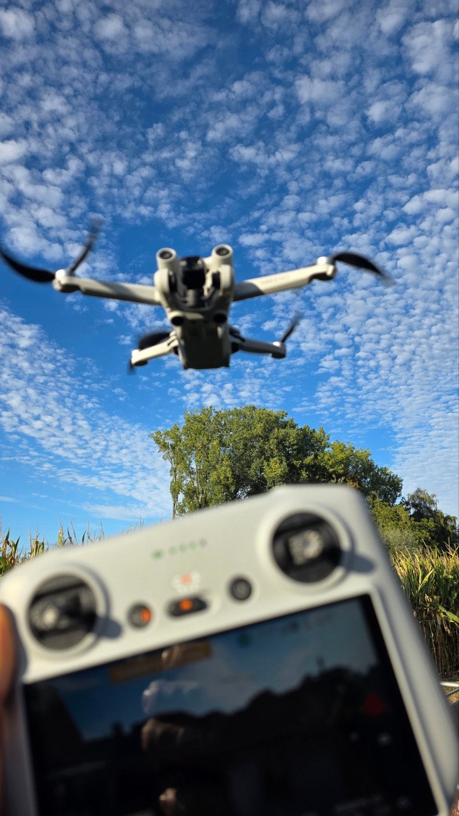 DJI mini 3 pro met DJI RC controller, Audio, Tv en Foto, Cameradrone, Zo goed als nieuw, DJI, 1 tot 5 kilometer