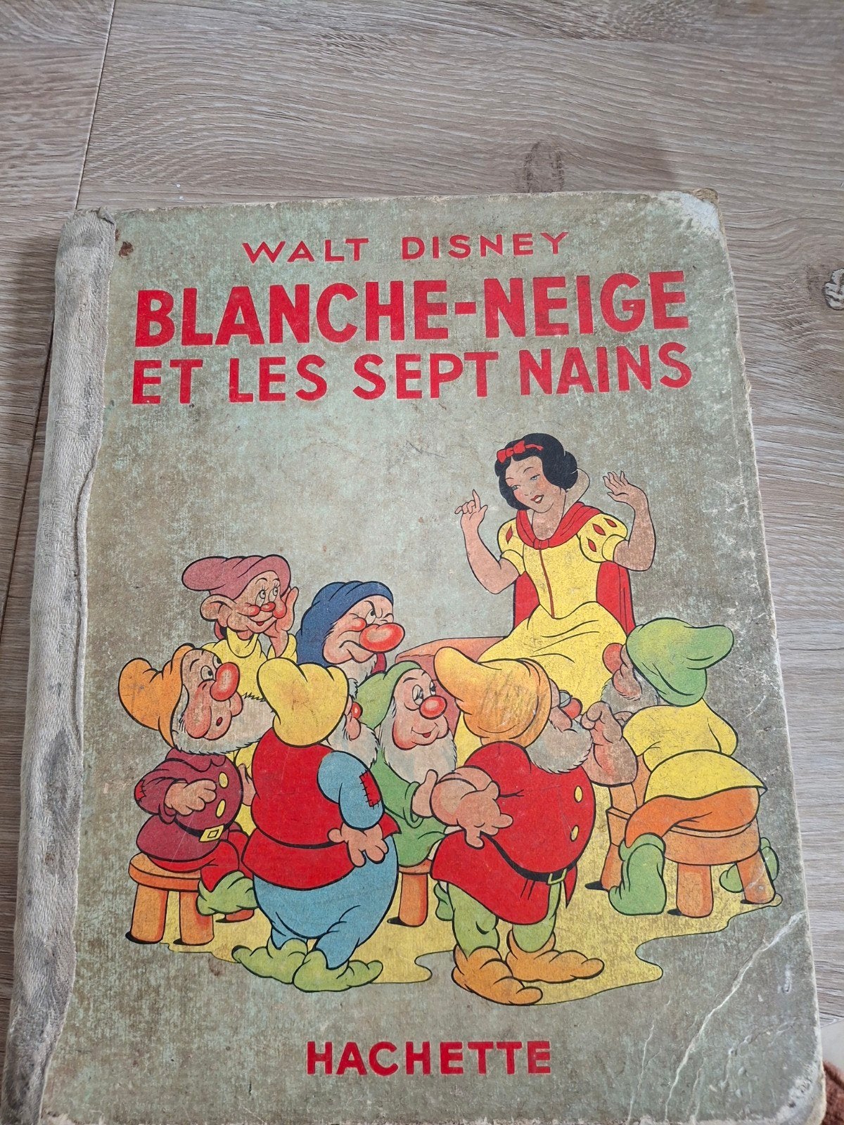 Livre Walt Disney, Livres