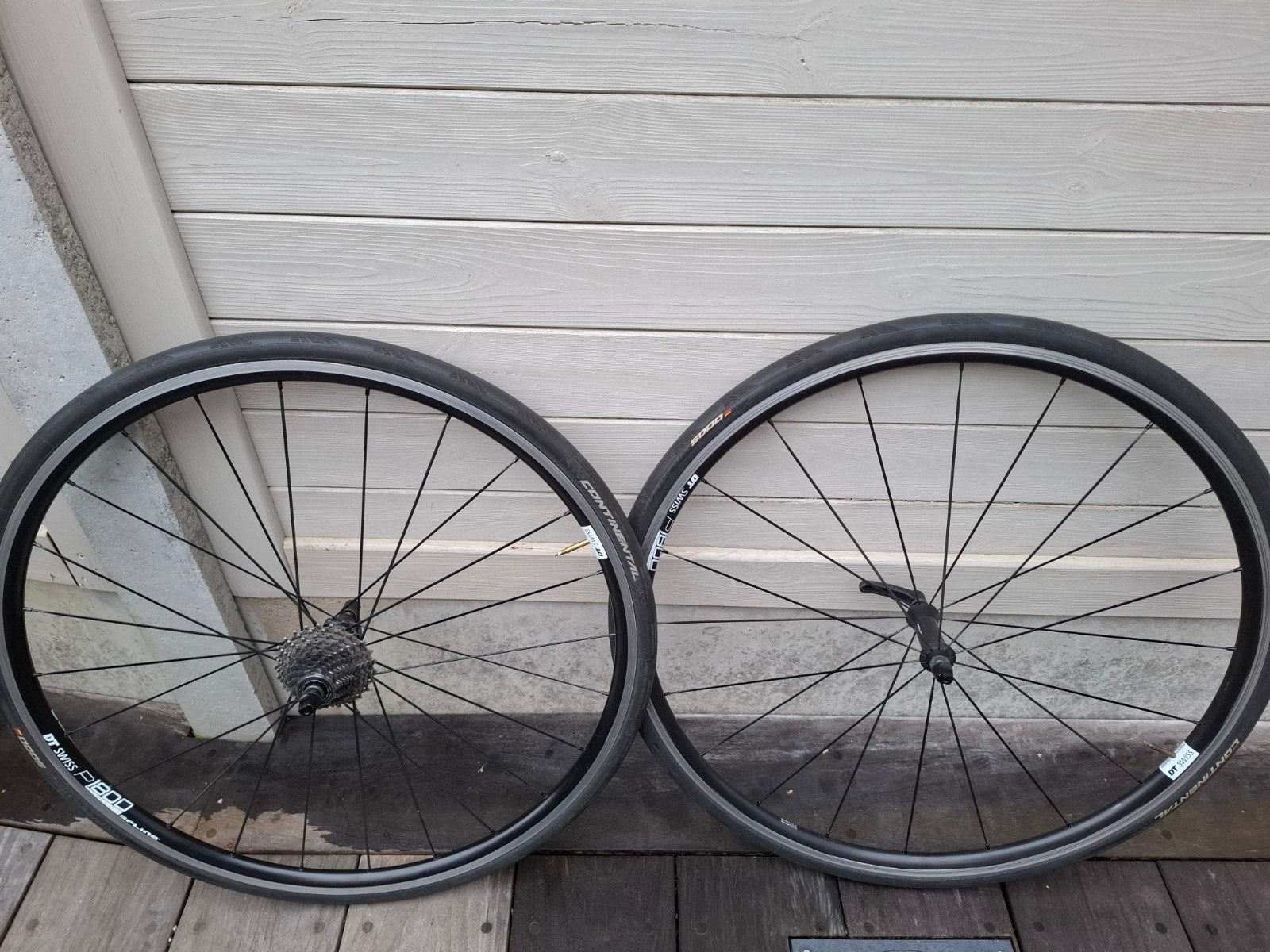 dt swiss 1800 spline velgrem, Fietsen en Brommers, Ophalen of Verzenden, Velgrem