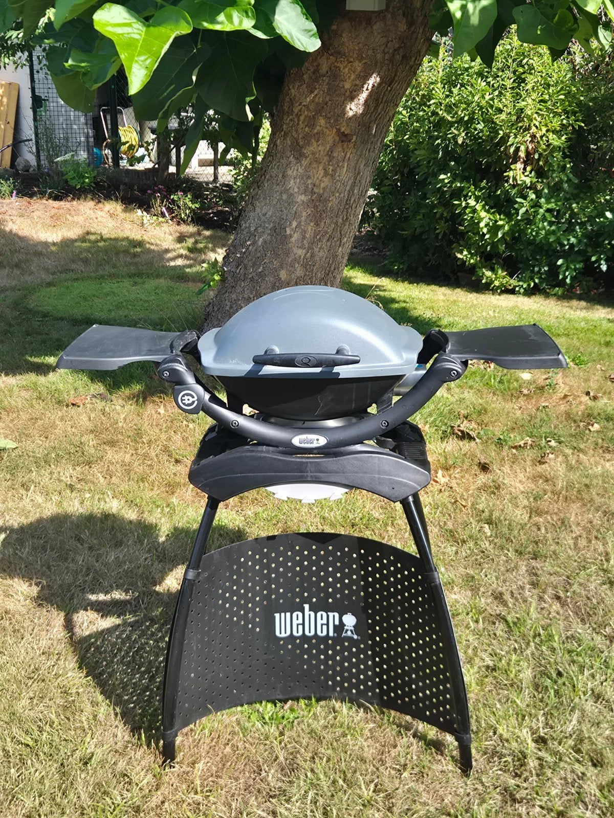 Weber elektrische BBQ, Ophalen