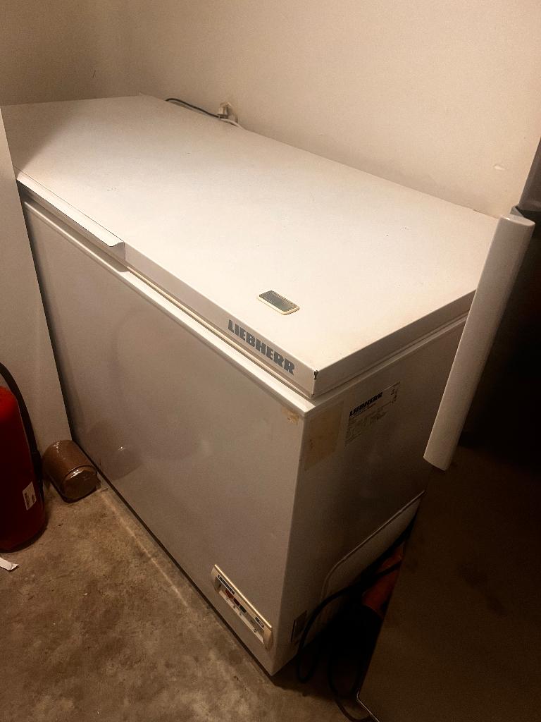 Diepvrieskist Liebherr, Congélateur, 90 cm ou plus, Enlèvement, Utilisé