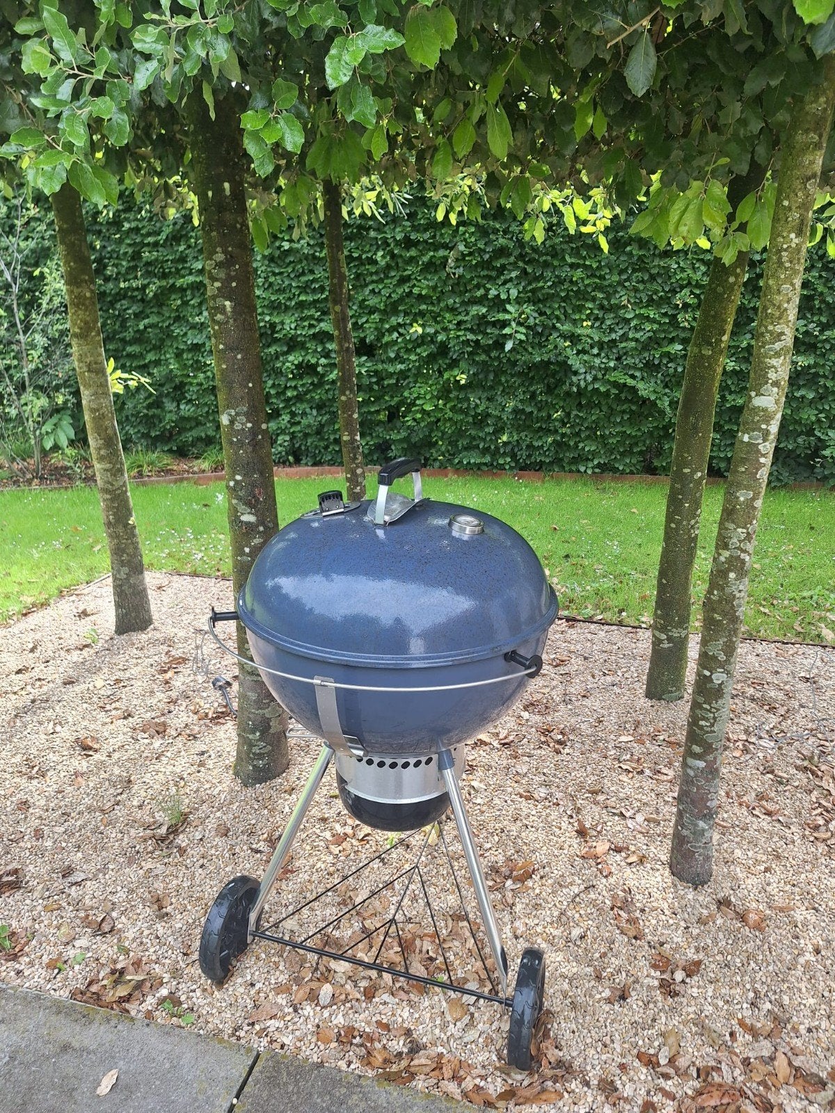Barbecue Weber (utilisé), Jardin & Terrasse, Enlèvement