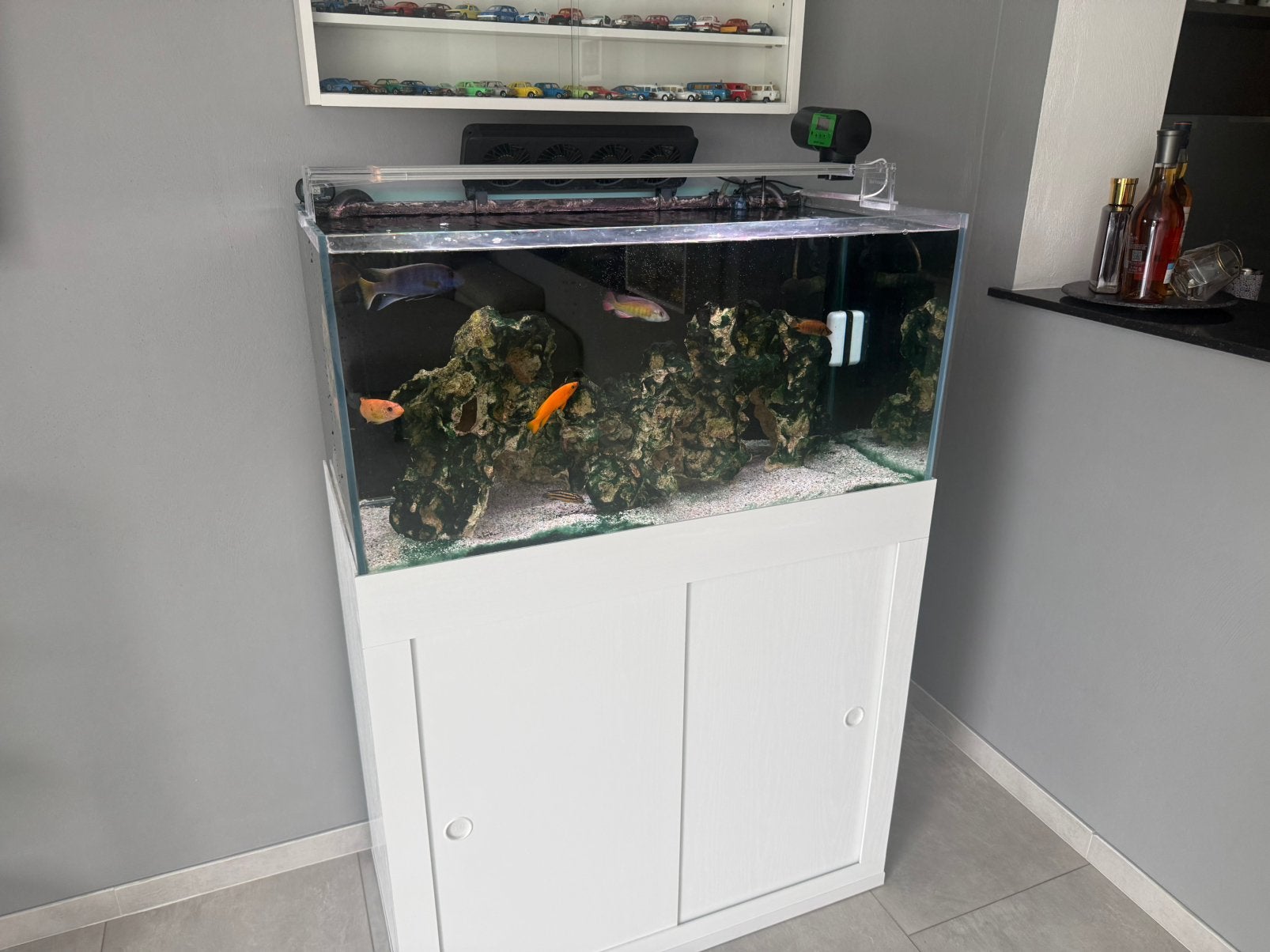 Aquarium ouvert, Animaux & Accessoires, Poissons | Aquariums & Accessoires, Comme neuf, Pompe, Enlèvement ou Envoi