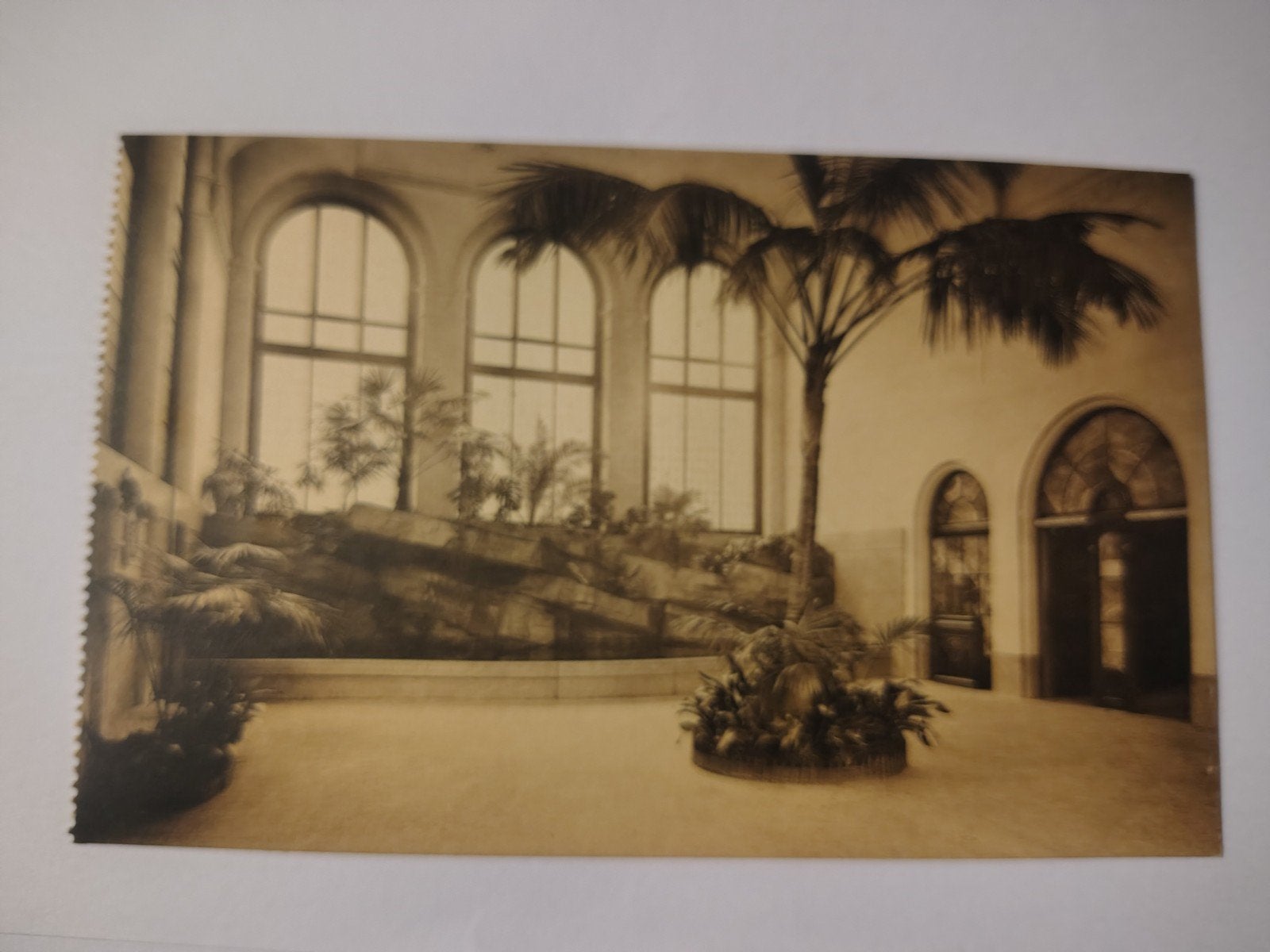 Antwerpen Zoo Voorzaal., Verzamelen, Ophalen of Verzenden, Antwerpen