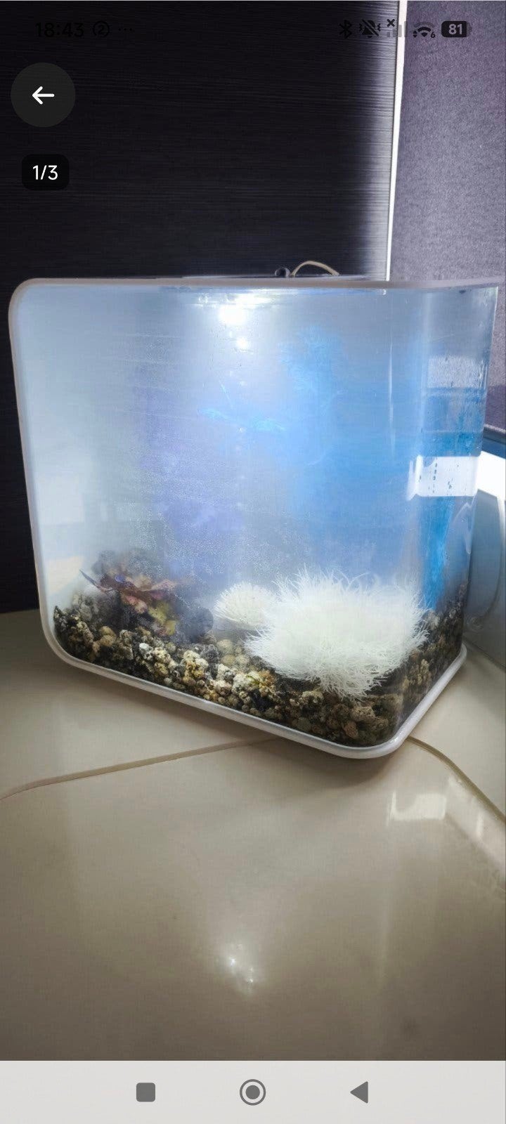 Biorb design aquarium 30 L, Enlèvement