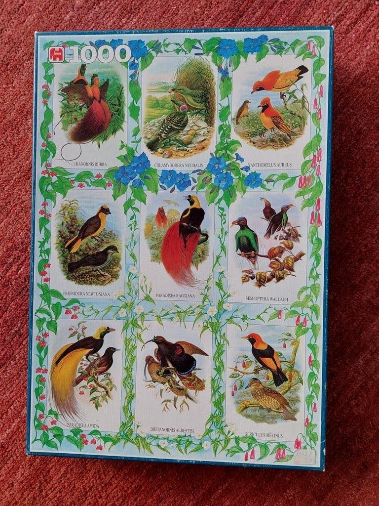 puzzle 1000 pièces - Jumbo - oiseaux exotiques, Hobby & Loisirs créatifs, Enlèvement ou Envoi, 500 à 1500 pièces, Comme neuf, Puzzle
