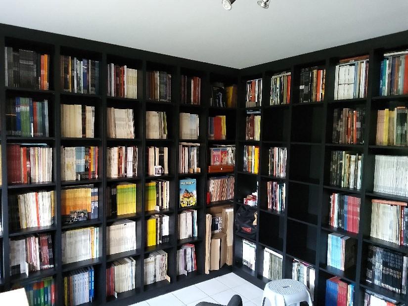 Ik zoek oude maar ook nieuwe(re) stripverhalen., Boeken, Stripverhalen, Ophalen of Verzenden