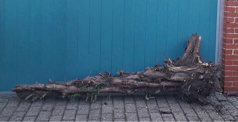Stookhout, Tuin en Terras, Ophalen, 180 tot 250 cm, Overige typen, Hardhout