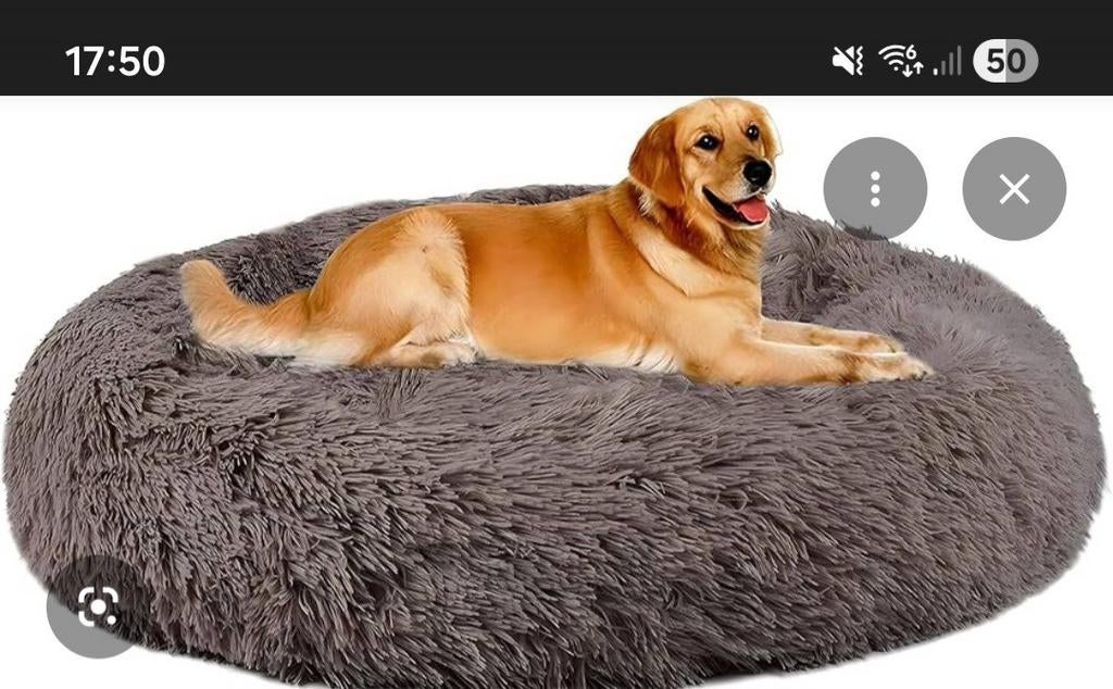 Hondenmand of klussen voor labrador, Ophalen