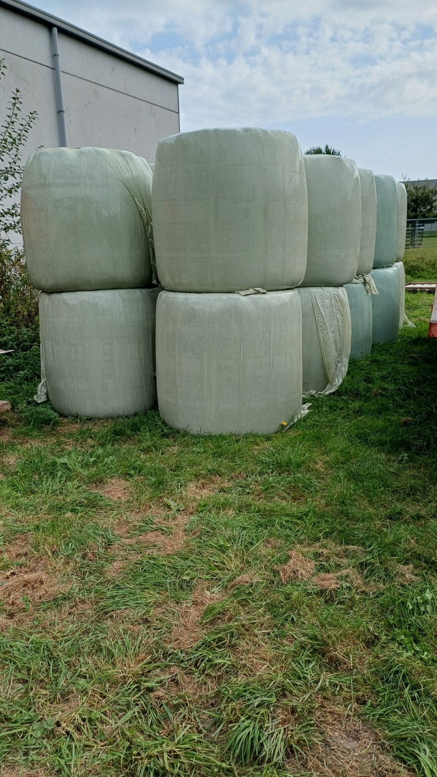 Grote balen gewikkeld hooi