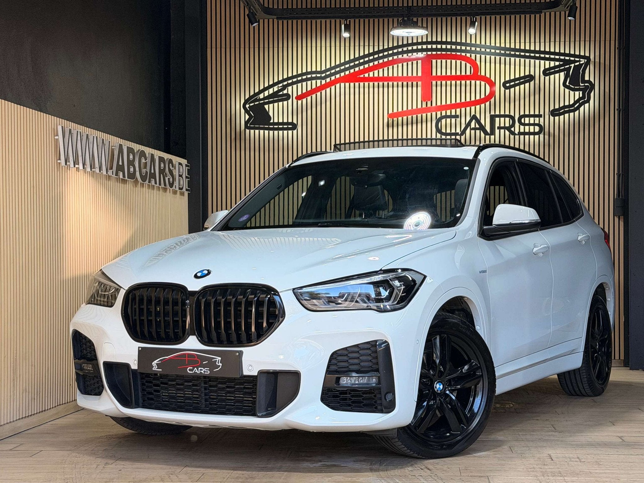 BMW X1 1.5iA sDrive18 * PACK M * GARANTIE 12 MOIS * 1ER PROP, Auto's, BMW, Bedrijf, Te koop, X1, ABS, Airbags, Airconditioning