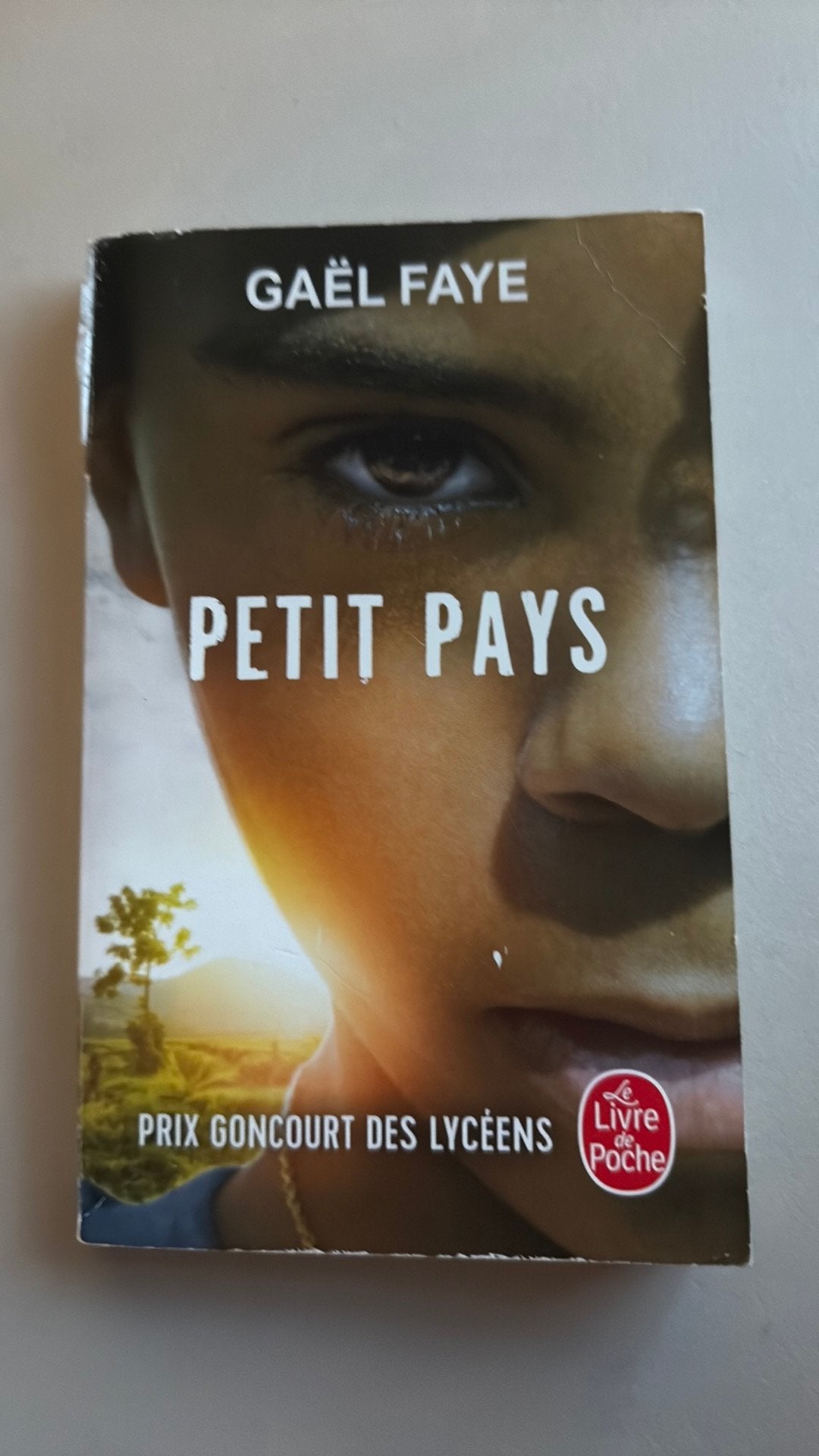Petit pays - Edition film, Boeken, Schoolboeken, Ophalen, Frans