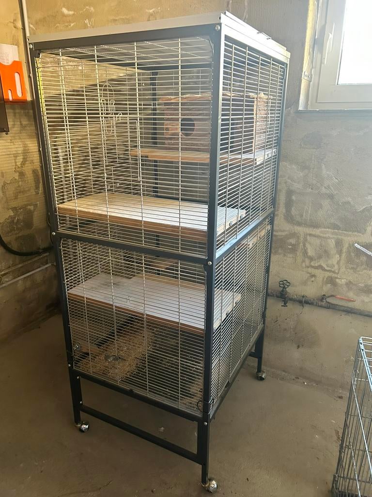 Cage a Chinchillas, 90 cm ou plus, Cage, Comme neuf, Chinchilla
