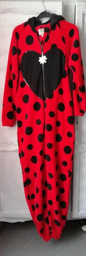 Onesie Lieveheerbeestje, Kleding | Dames, Homewear, Ophalen of Verzenden