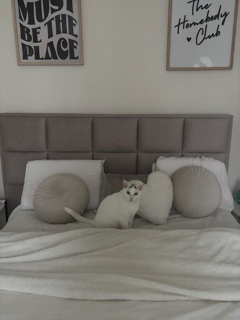 Tweepersoonsbed, Huis en Inrichting, Ophalen, Japandi, Tweepersoons, Zo goed als nieuw