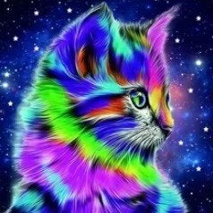 Diamond Painting- Kleurrijke Kat- Sterrenhemel - nieuw, Nieuw, Meerkleurig, Ophalen of Verzenden, Overige materialen