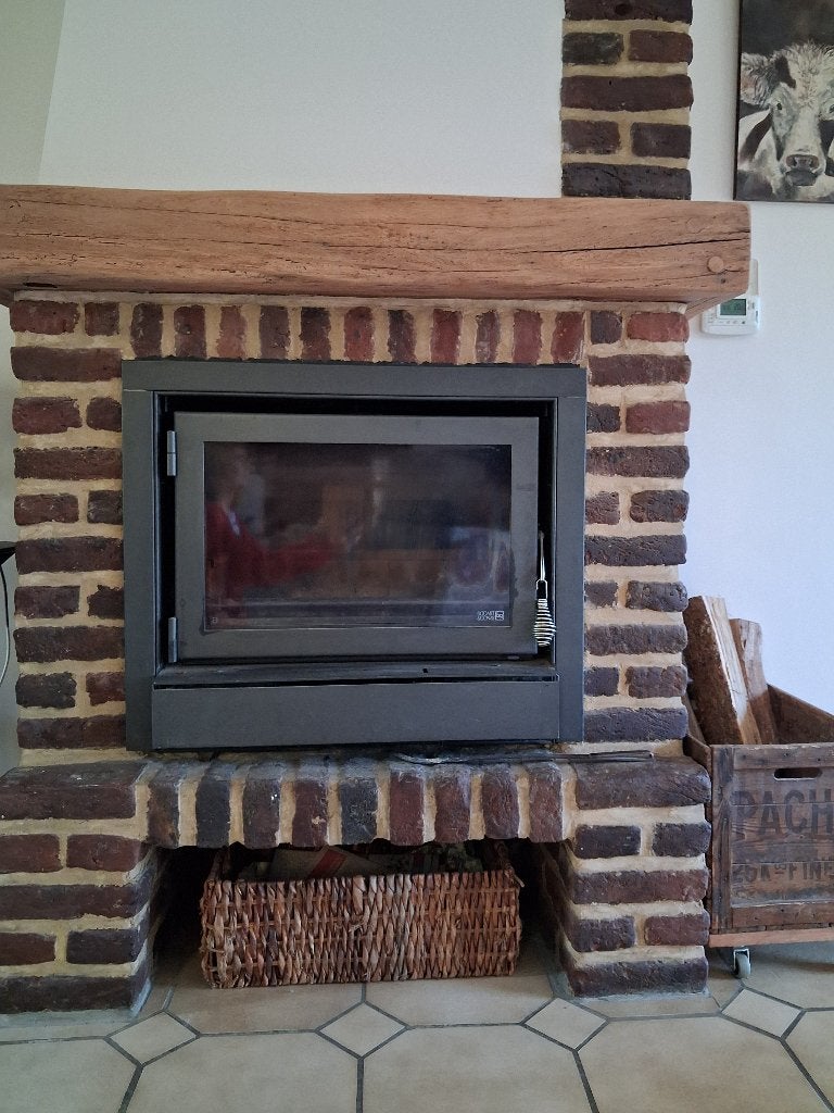 insert bois, Maison & Meubles, Enlèvement, Utilisé, Insert, Cheminée au bois
