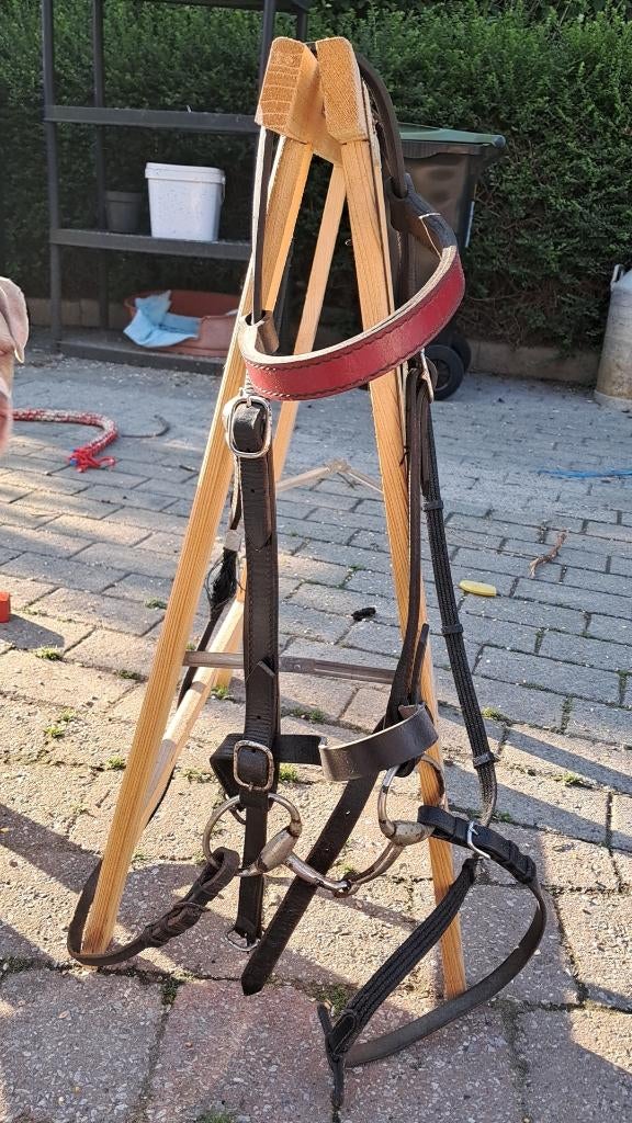 Kopstuk paard, Enlèvement, Utilisé, Récréation