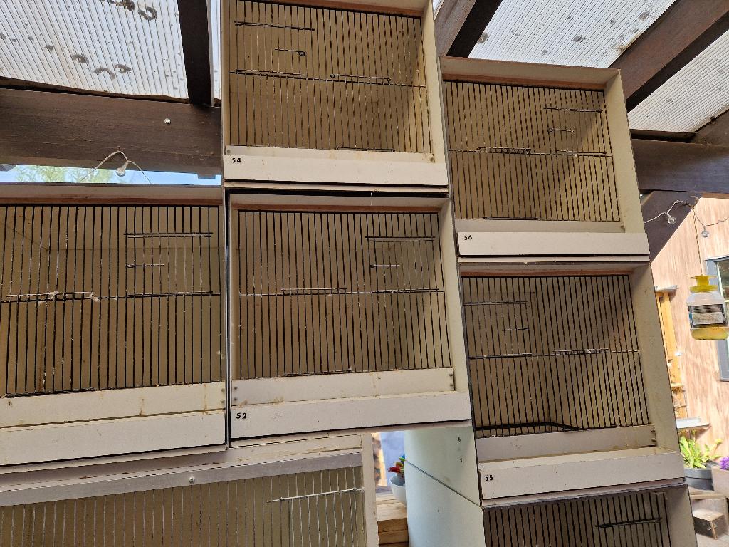 Kweek kooien, Dieren en Toebehoren, Vogels | Hokken en Kooien, Ophalen, Gebruikt, Kunststof, Broedkooi of Kweekkooi
