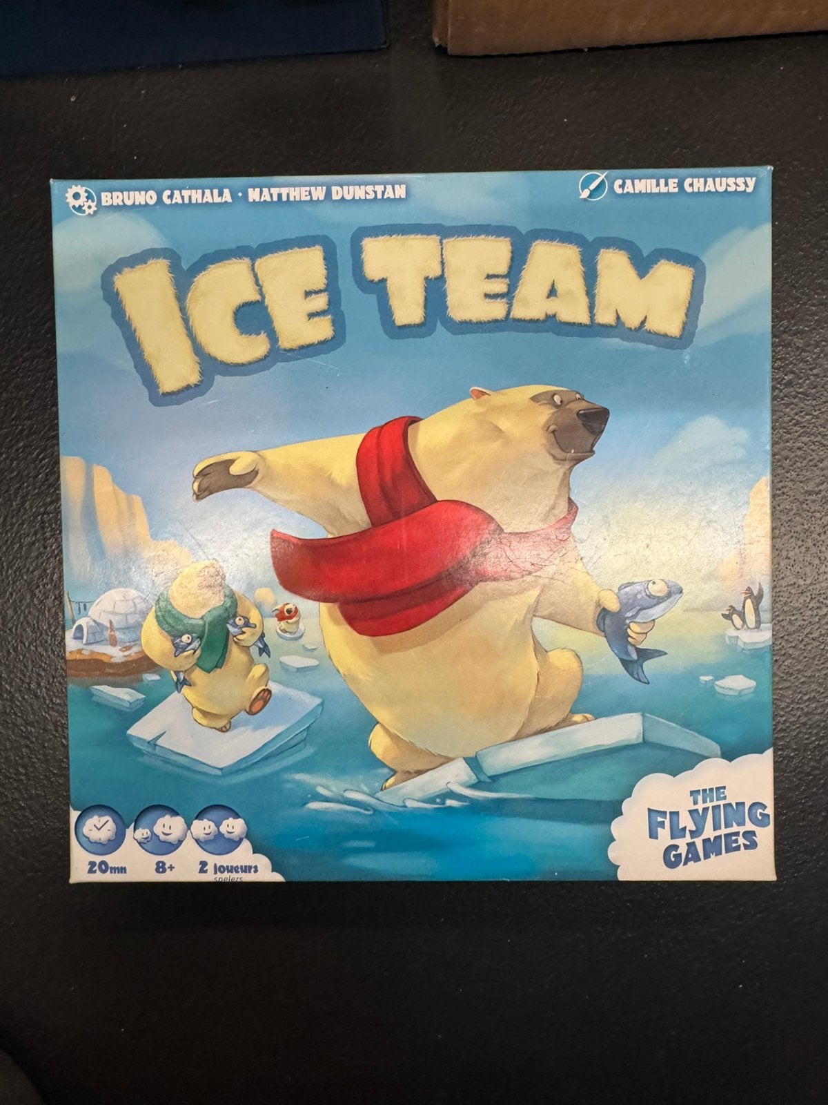 Ice Team, een strategisch bordspel, Hobby en Vrije tijd, Ophalen of Verzenden, Zo goed als nieuw