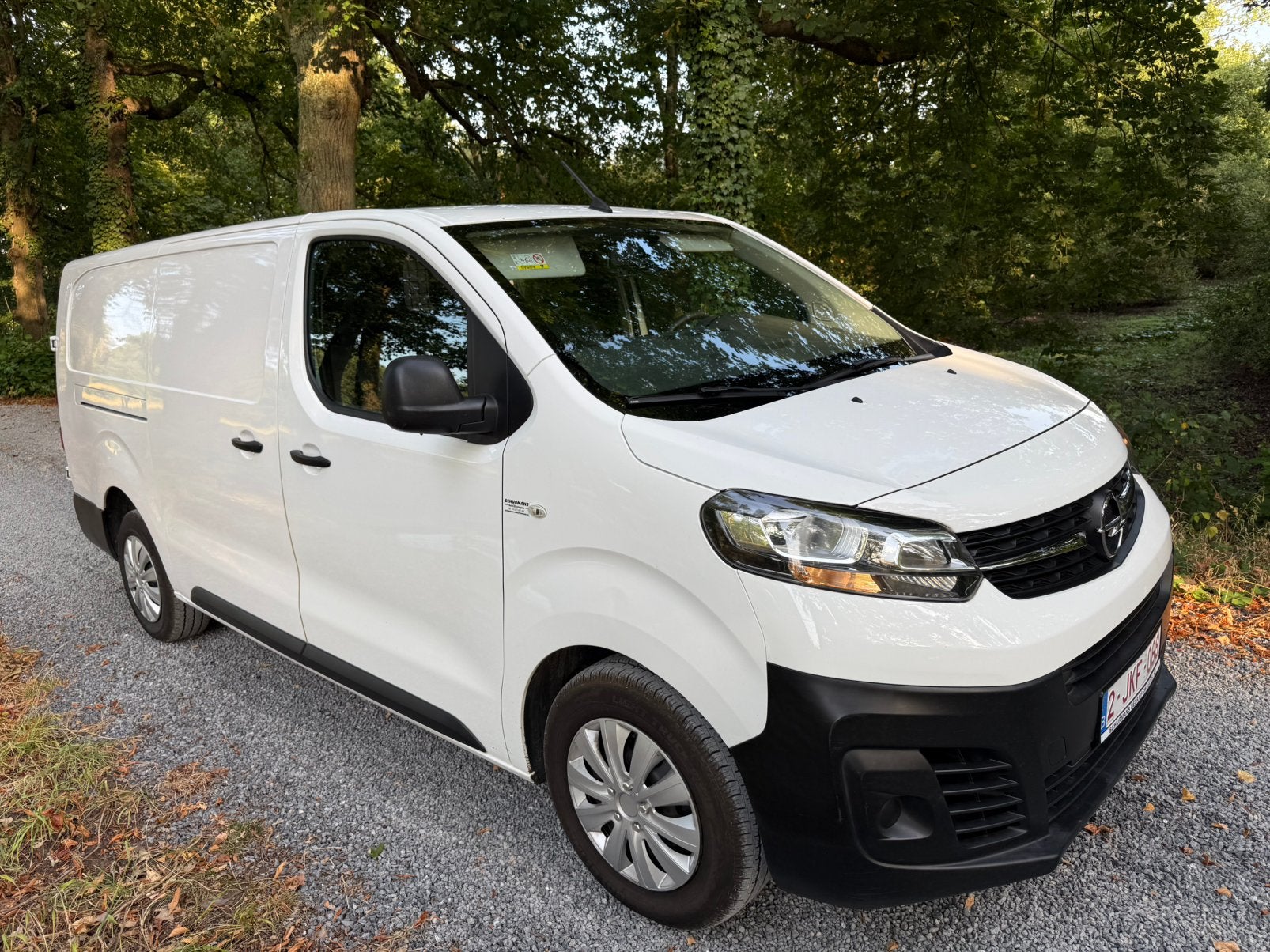 Opel vivaro, Autos, Opel, Achat, Vivaro, Euro 6, Boîte manuelle