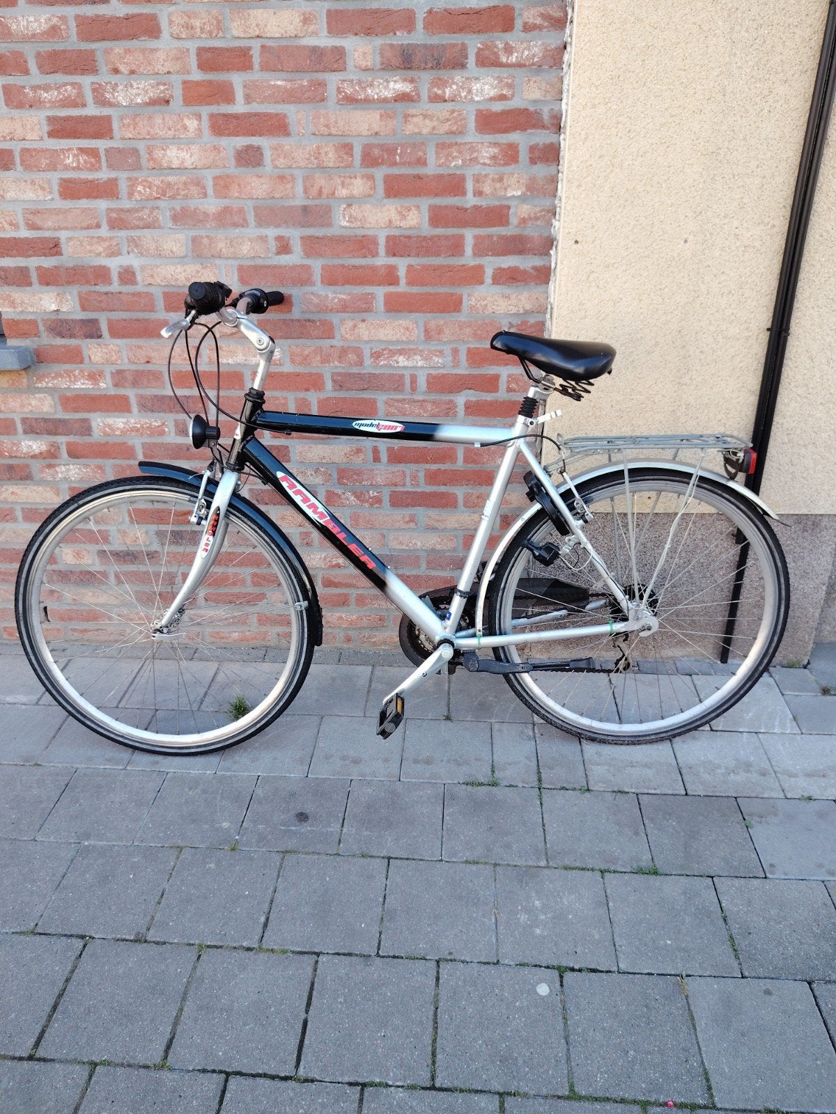 Herenfiets., Fietsen en Brommers, Ophalen