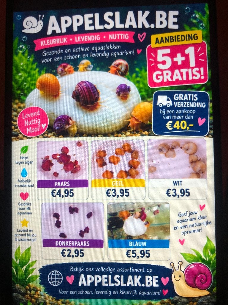 Escargots d'aquarium, Escargot ou Mollusque, Poisson d'eau douce
