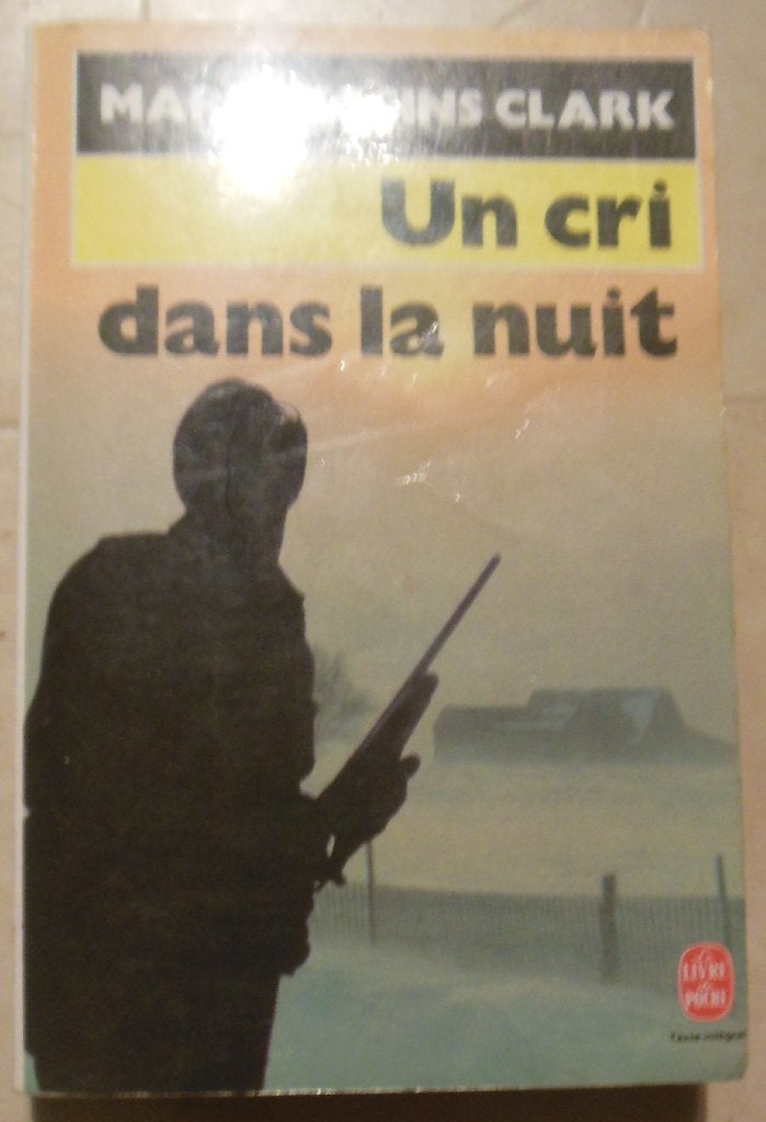 Un cri dans la nuit - Mary Higgins Clark, Enlèvement ou Envoi