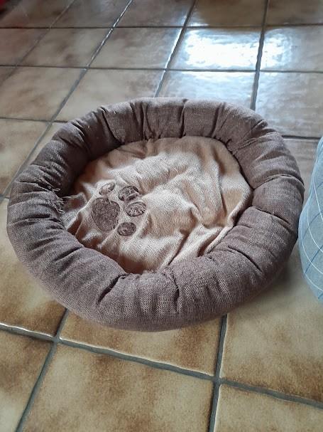 panier pour animaux, Animaux & Accessoires, Paniers pour chiens, Enlèvement ou Envoi, Utilisé, Poussière