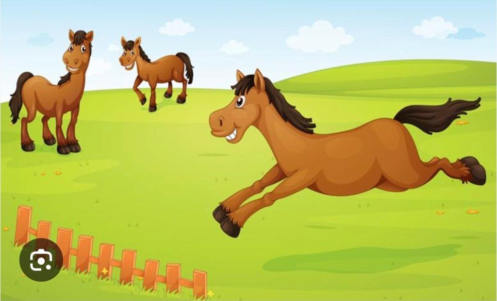 Gezocht een weide voor shetlandpony ( waasland), Dieren en Toebehoren, Stalling en Weidegang