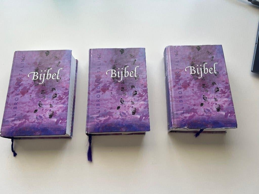 Willibrordvertaling schoolbijbel, Boeken, Godsdienst en Theologie, Ophalen of Verzenden, Zo goed als nieuw, Christendom | Katholiek