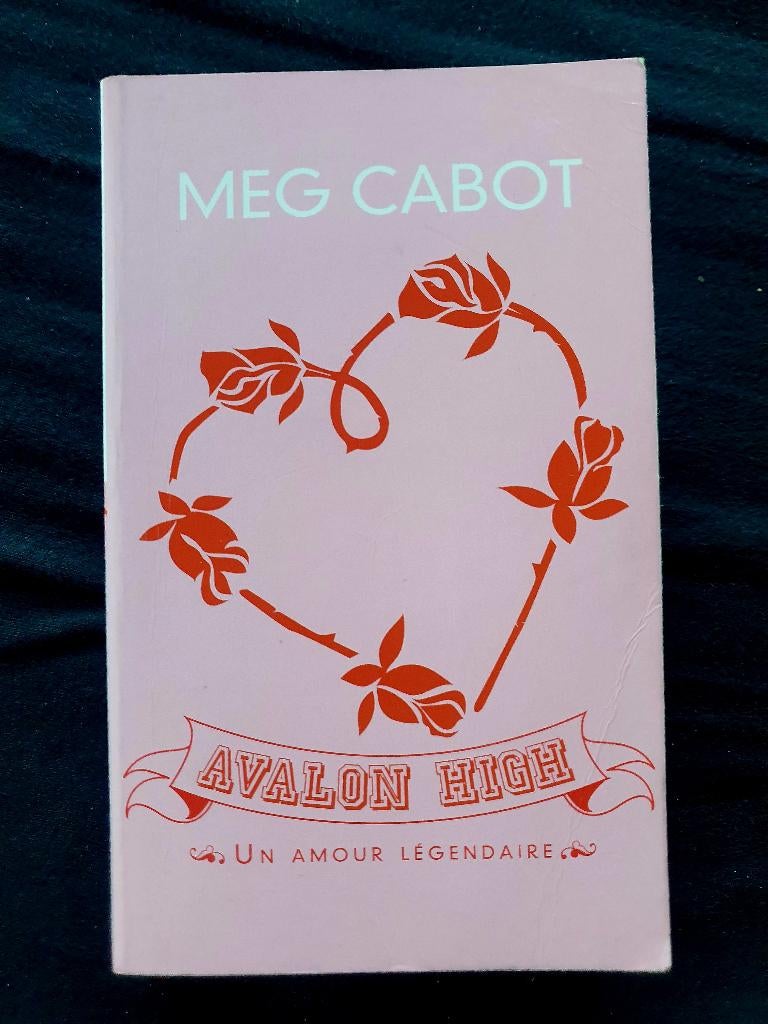 Meg Cabot - Un amour légendaire, Enlèvement ou Envoi