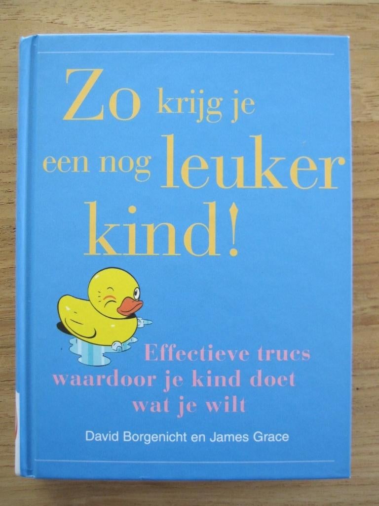Zo krijg je een nog leuker kind (D. Borgenicht & J. Grace), Ophalen, Zo goed als nieuw, David Borgenicht & James Grace